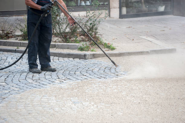 Best Animal Enclosure Cleaning  in Fruit Heights, UT