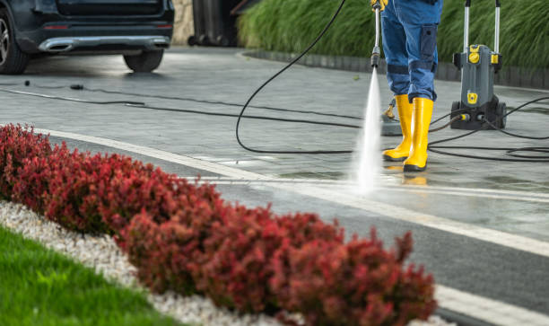 Best Driveway Pressure Washing  in Fruit Heights, UT